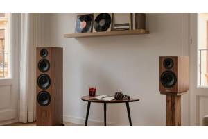 Altavoces de columna o de estantería​: guía para elegir